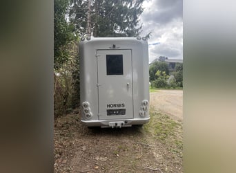 Toller 2 Pferdetransporter