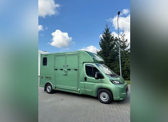 TOYOTA / PRENTKI PROACE MAX 2026