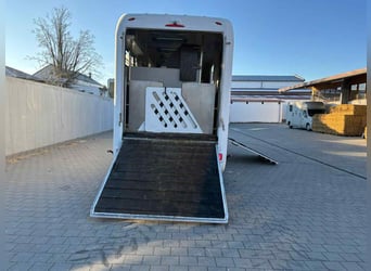 MAN  TGS 18.330   7 HORSES 