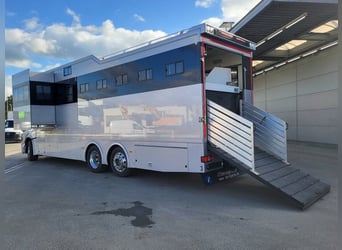 Mercedes-Benz Actros 2551 Horse Truck + Living (2017) —  5–6 horses — 23.236 km — Euro 6