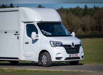 Neuer ultra-leichter 2-Pferde Renault Master Pferdeanhänger