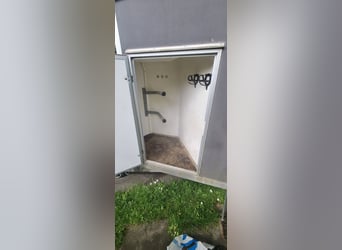 Pferdeanhänger 