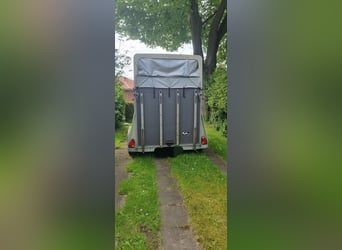 Pferdeanhänger 