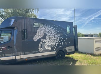 Pferdetransporter 3,5 t