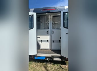 Pferdetransporter 3,5 t