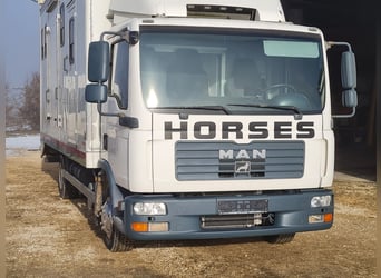 Pferdetransporter LKW MAN TGL8.180