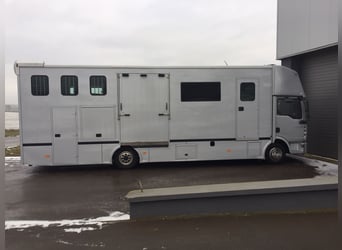Pferdetransporter MAN TGL 12.210 5 Pferde mit Wohnkabine