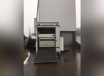 Pferdetransporter MAN TGL 12.210 5 Pferde mit Wohnkabine
