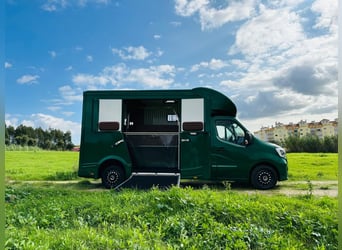 Pferdetransporter Renault ATM Haras / 5-Sitzer / Automatik Getriebe