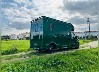 Pferdetransporter Renault ATM Haras / 5-Sitzer / Automatik Getriebe