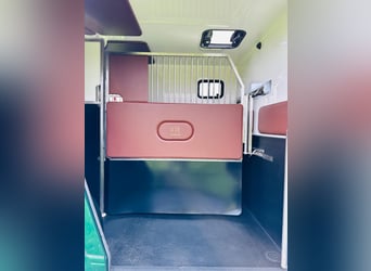Pferdetransporter Renault ATM Haras / 5-Sitzer / Automatik Getriebe