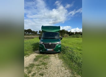 Pferdetransporter Renault ATM Haras / 5-Sitzer / Automatik Getriebe