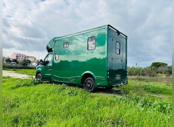Pferdetransporter Renault ATM Haras / 5-Sitzer / Automatik Getriebe