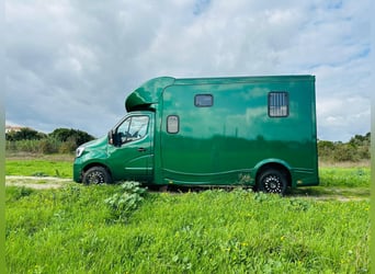 Pferdetransporter Renault ATM Haras / 5-Sitzer / Automatik Getriebe