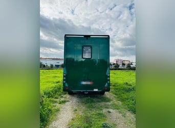 Pferdetransporter Renault ATM Haras / 5-Sitzer / Automatik Getriebe