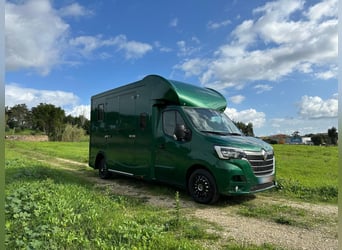 Pferdetransporter Renault ATM Haras / 5-Sitzer / Automatik Getriebe