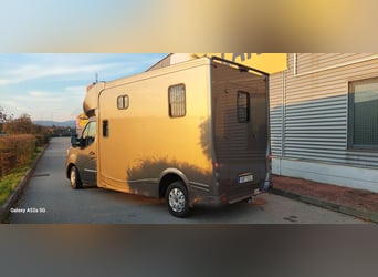 Pferdetransporter Renault Master ATM 5-Sitzer mit 2 J.Garantie