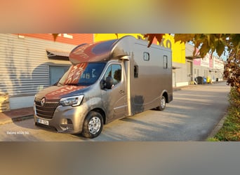 Pferdetransporter Renault Master ATM 5-Sitzer mit 2 J.Garantie