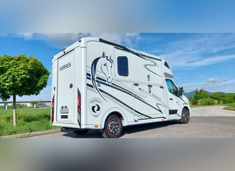 Pferdetransporter Renault Master PARAGAN EQUISTAR 3XL Competition