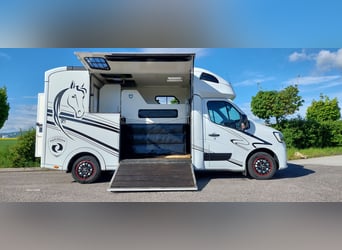 Pferdetransporter Renault Master PARAGAN EQUISTAR 3XL Competition