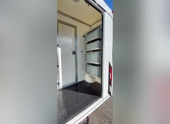 Pferdetransporter Renault Master PARAGAN EQUISTAR 3XL Competition