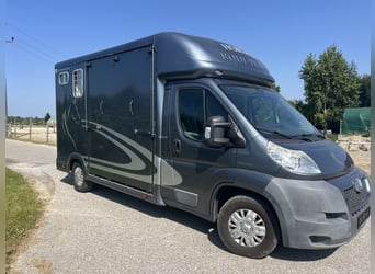 Pferdetransporteuer Peugeot -Reserviert