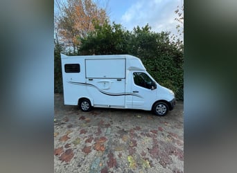 Pferdetransporteuer Renault Ameline