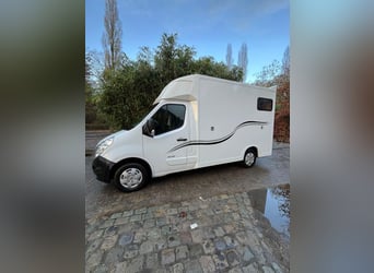 Pferdetransporteuer Renault Ameline