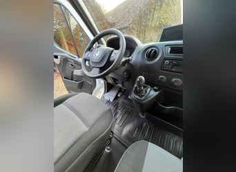 Pferdetransporteuer Renault Ameline