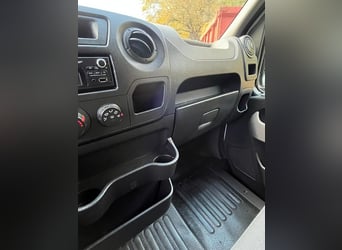 Pferdetransporteuer Renault Ameline