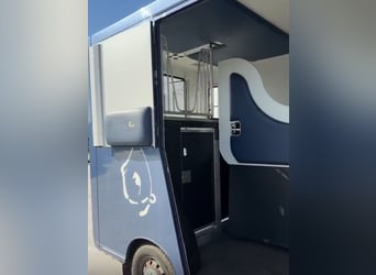 Pferdetransporteuer Renault Theault