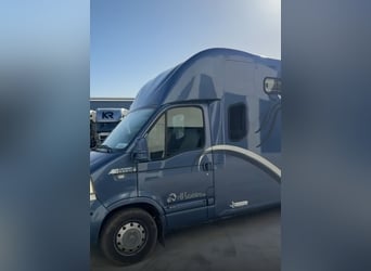 Pferdetransporteuer Renault Theault