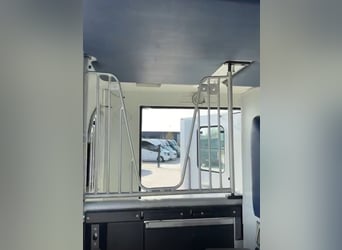 Pferdetransporteuer Renault Theault