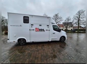 Renault JK Pferdeanhänger, Hengstversion!