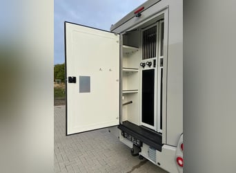 Renault Master Pferdetransporter