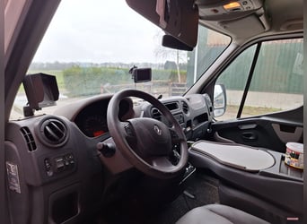 Renault Master Theault paardenwagen hengsten uitvoering