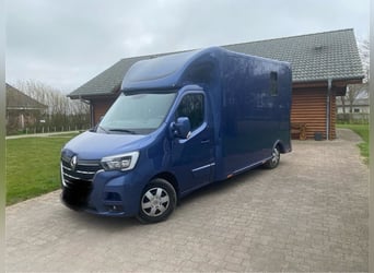 Renault Master Zwei-Pferdetransporter