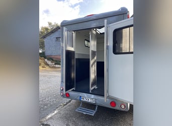 Steinsberger Anka 2 neues Model