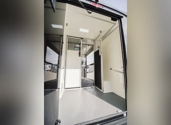 STX 2 Horse – Exclusive Mercedes Sprinter