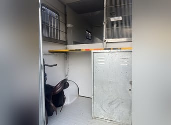 Tolle Pferdetransporteuer Renault MTM