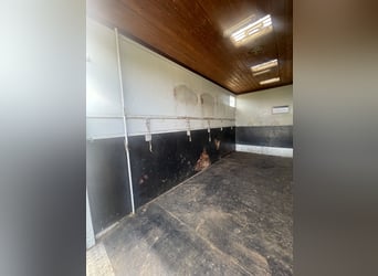 Top gepflegter Pferdetransporter variabel bis 5 Pferde