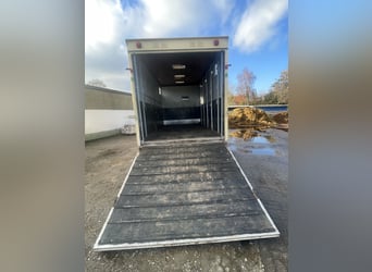 Top gepflegter Pferdetransporter variabel bis 5 Pferde