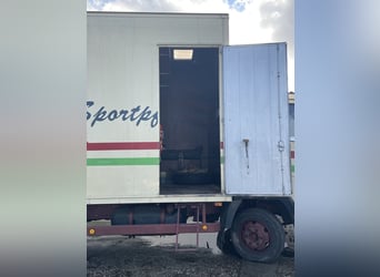 Top gepflegter Pferdetransporter variabel bis 5 Pferde