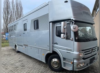 Top LKW für bis zu 6 Pferde 