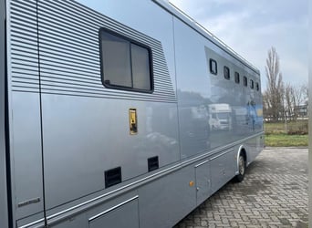 Top LKW für bis zu 6 Pferde 
