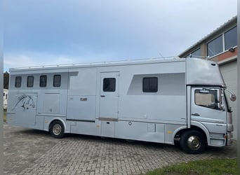Top LKW für bis zu 6 Pferde 