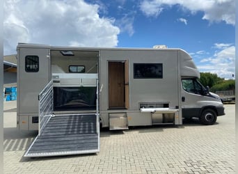 Iveco Pferdetransporter 2 - 3 Pferde, Neufahrzeug