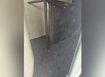 WESTFALIA Pferdeanhänger  mit neuem TÜV 