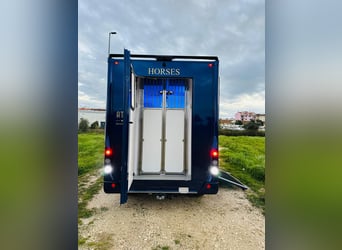 Zum verkaufen Pferdetransporter Renault ATM Haras / 5-Sitzer NEW