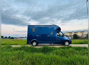 Zum verkaufen Pferdetransporter Renault ATM Haras / 5-Sitzer NEW